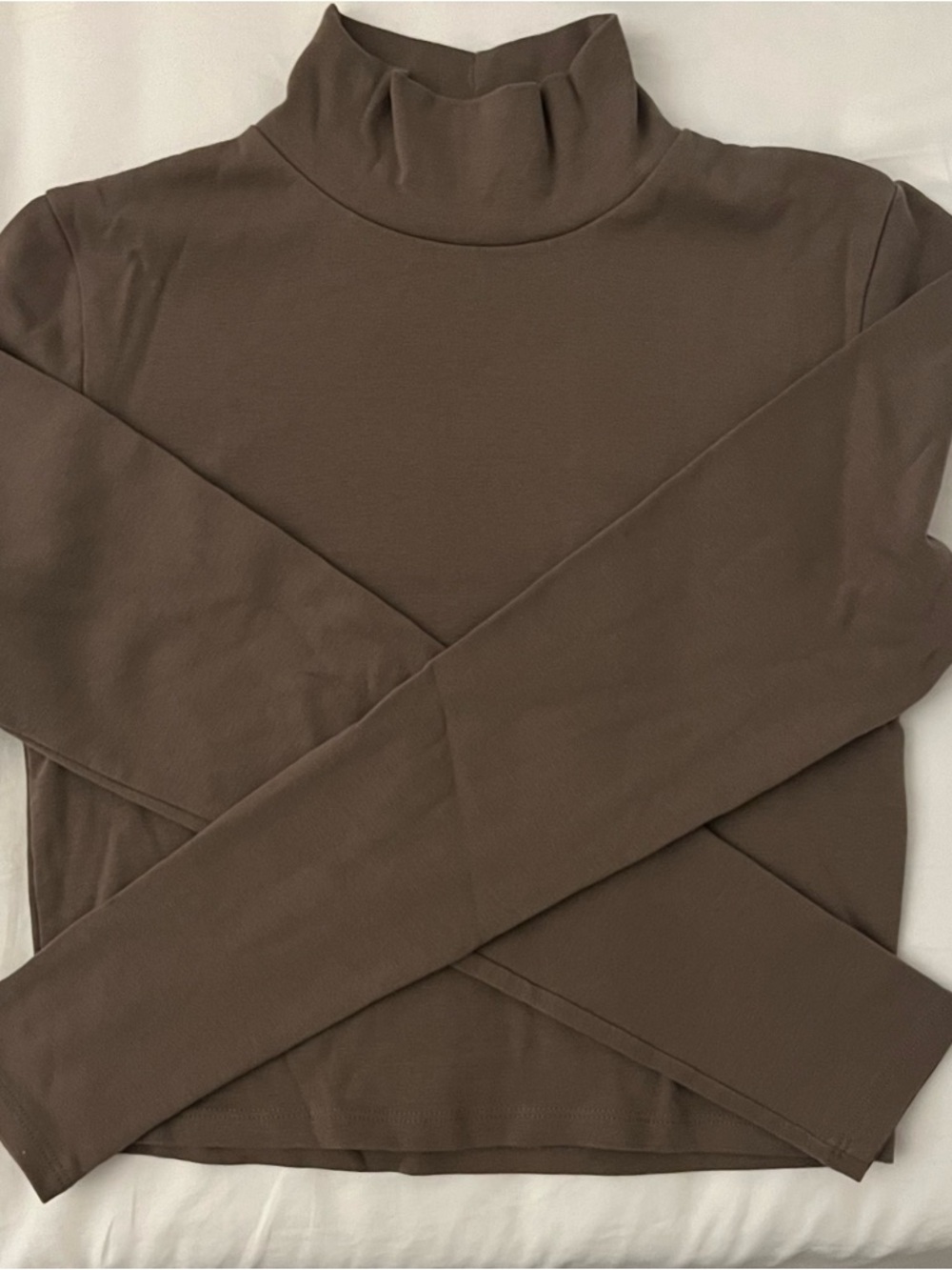 Zara Brown Turtleneck Long Sleeve Top
